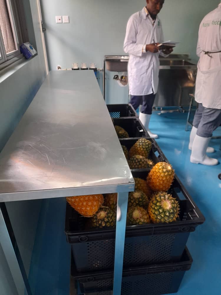 Food Safety Audit